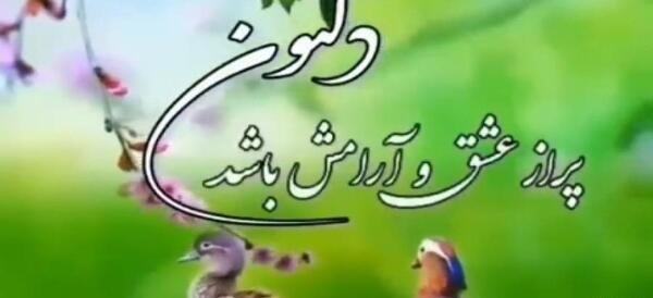 عکس استوری صبح بخیر شاد بهاری