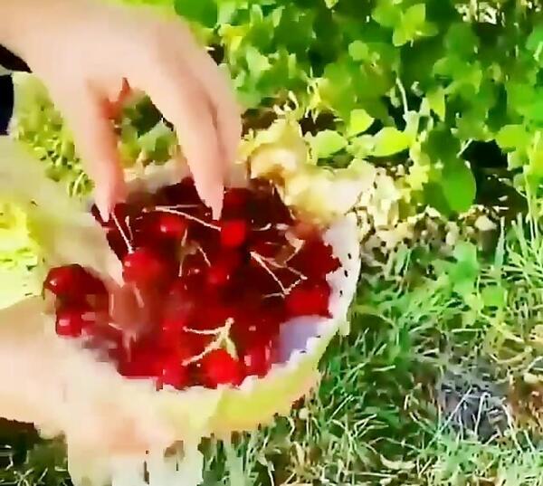عکس استوری صبح بخیر شاد ترکی