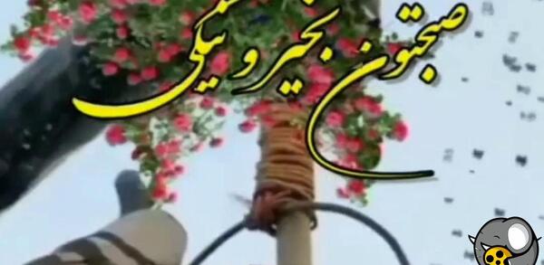 عکس استوری صبح بخیر شاد ترکی