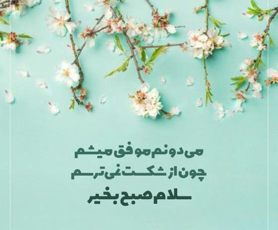 عکس استوری سلام صبح بخیر شاد