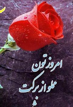 عکس متن استوری صبح بخیر شاد