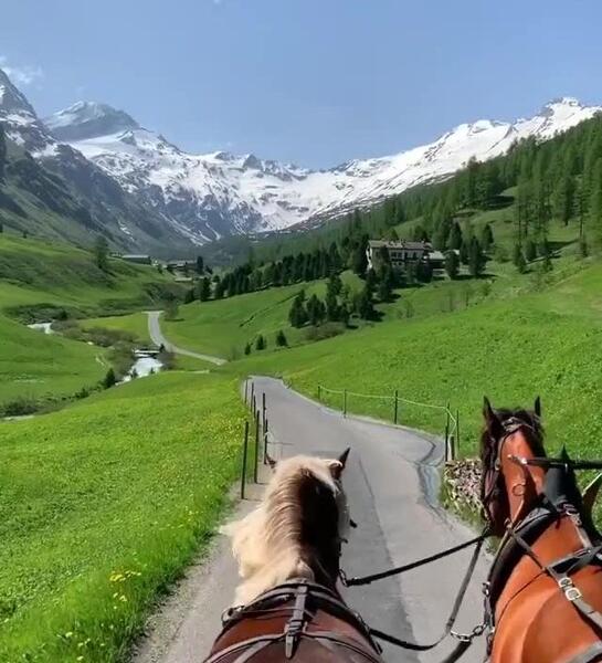 عکس فیلم طبیعت برای استوری اینستا