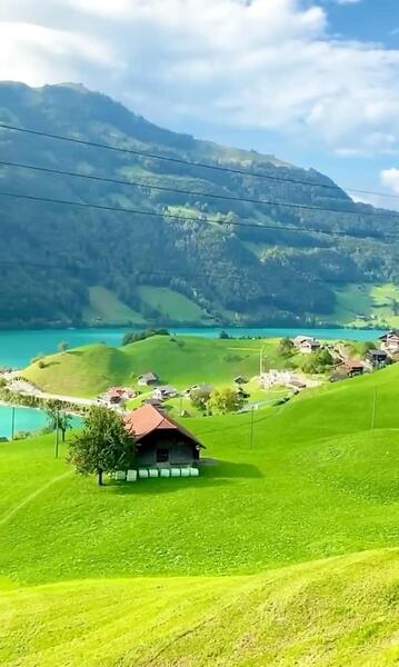 عکس فیلم طبیعت برای استوری اینستا