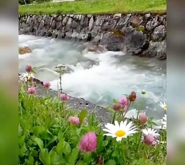 عکس فیلم طبیعت برای استوری اینستا