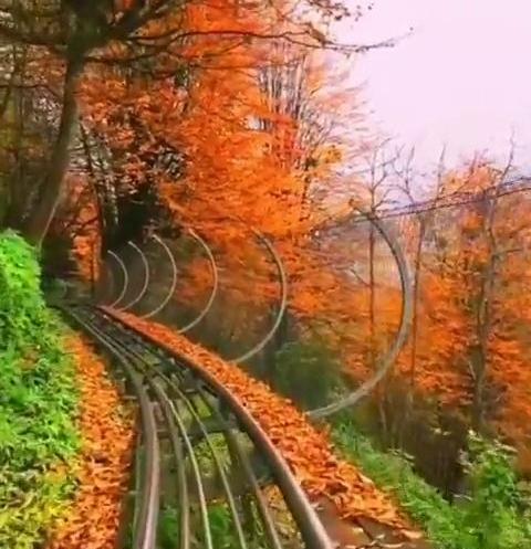 عکس فیلم طبیعت برای استوری اینستا