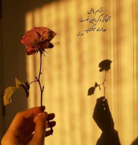 عکس استوری ظهر جمعه بخیر
