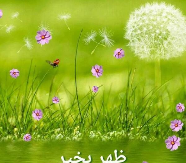 عکس استوری ظهر جمعه بخیر