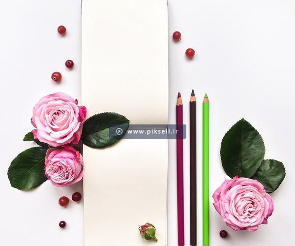 عکس دفترچه سفید