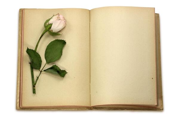 عکس دفترچه سفید