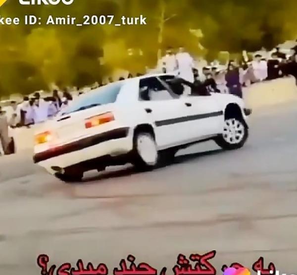 عکس زانتیا سفید شوتی