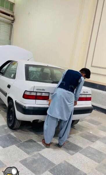 عکس زانتیا سفید شوتی