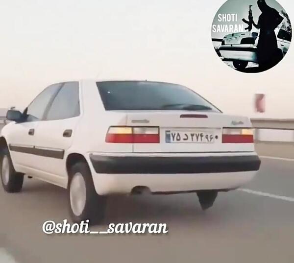 عکس زانتیا سفید شوتی