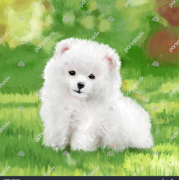 عکس سگ پاپتی