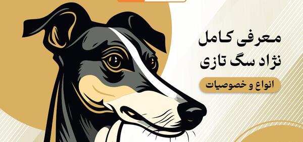 عکس سگ نژاد تازی