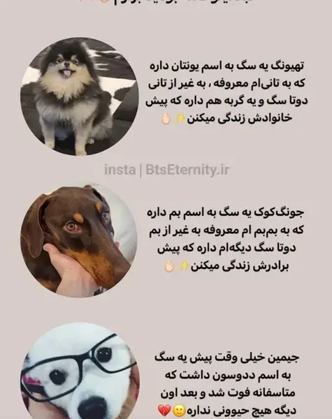 عکس سگ تهیونگ و جونگ کوک