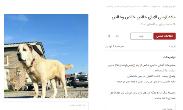 عکس سگ خراسانی اصیل
