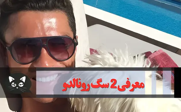 عکس سگ کریستیانو رونالدو