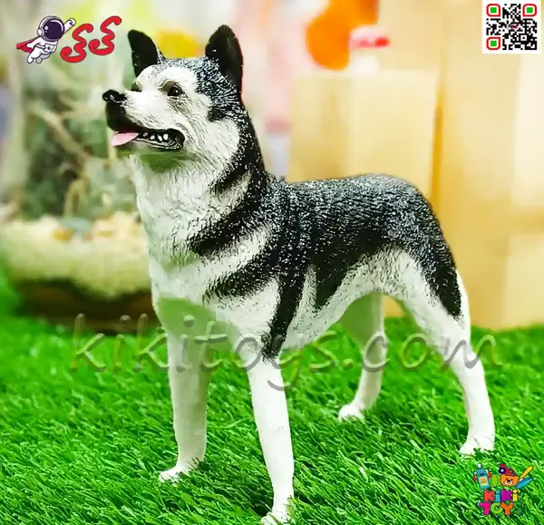 عکس سگ رکس سفید