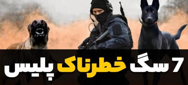 عکس سگ رکس وحشی