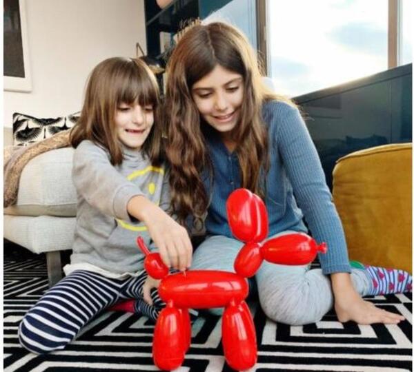 عکس سگ رباتی بادکنکی