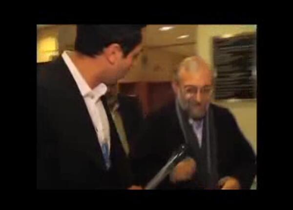 عکس سگ زرد و شغال