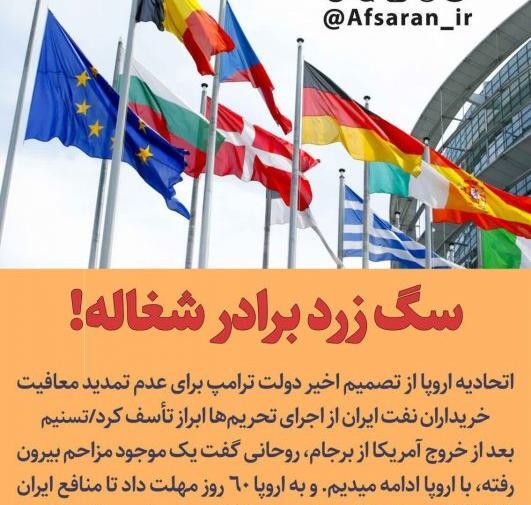 عکس سگ زرد برادر شغال