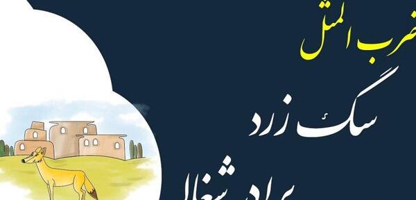 عکس سگ زرد برادر شغال