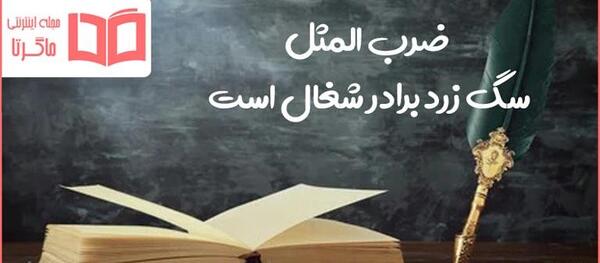 عکس سگ زرد برادر شغال