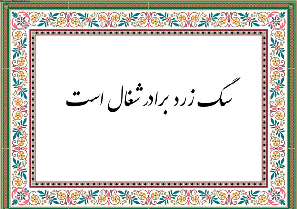 عکس سگ زرد برادر شغال