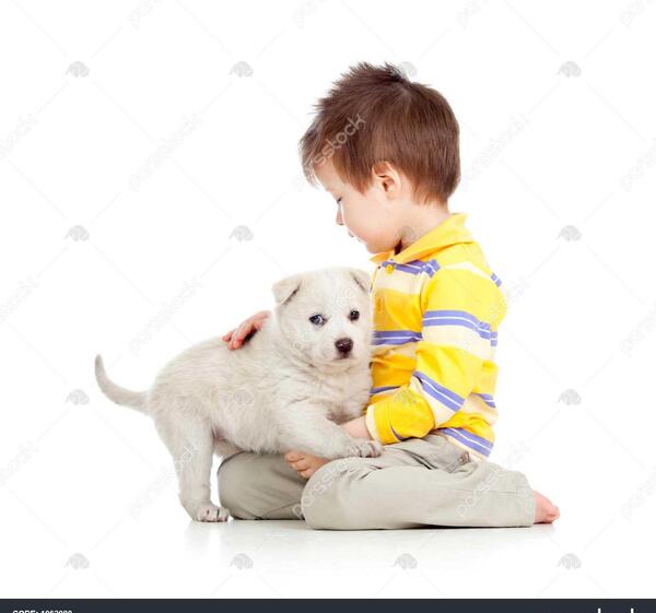عکس توله سگ سفید کوچولو