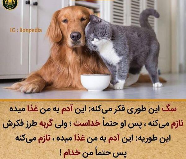 عکس نوشته سگ صفت