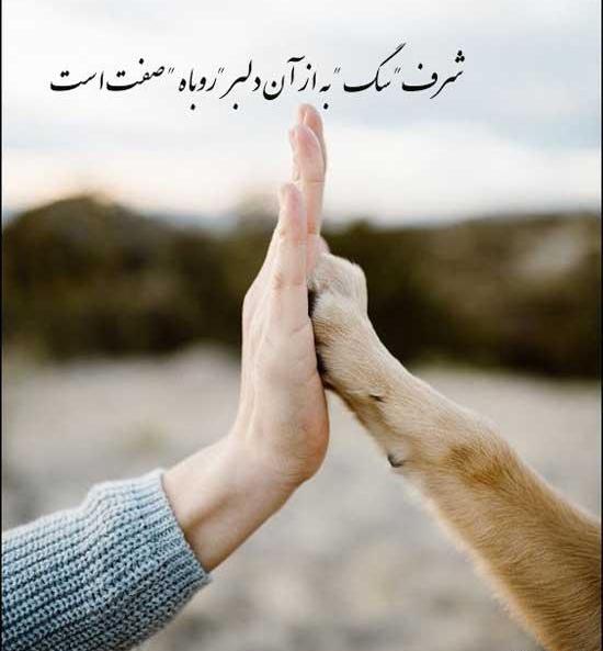 عکس نوشته سگ صفت
