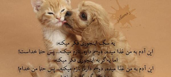 عکس نوشته سگ صفت