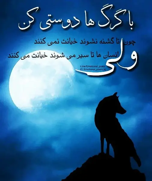 عکس نوشته سگ صفت