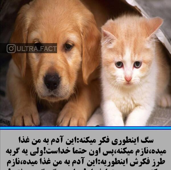 عکس پروفایل سگ صفت