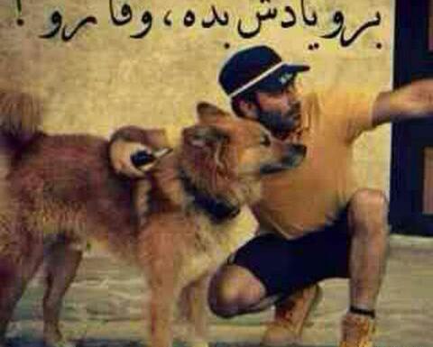 عکس پروفایل سگ صفت