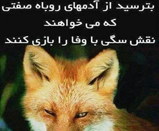 عکس پروفایل سگ صفت