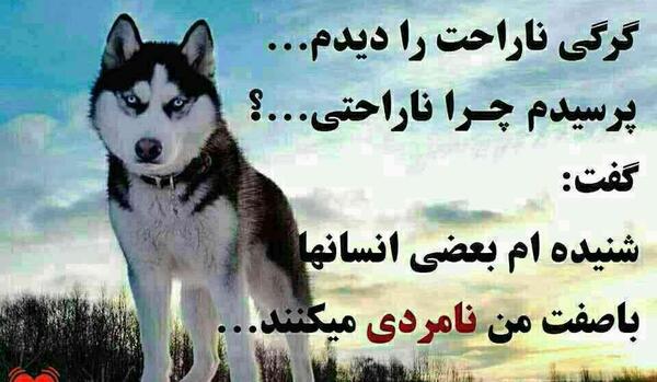 عکس پروفایل سگ صفت
