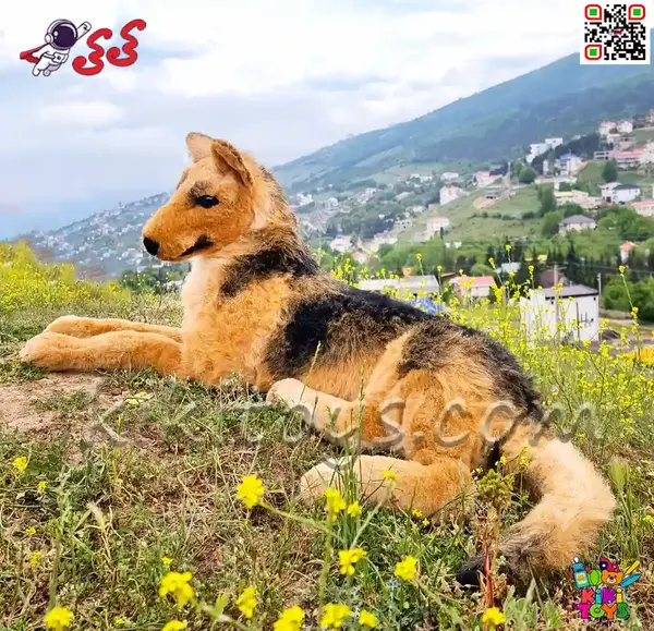عکس سگ عروسکی بزرگ
