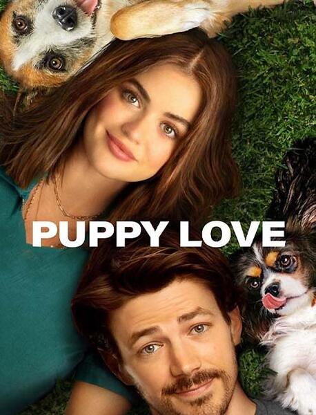 عکس سگ پاپت تو فیلم عاشقانه