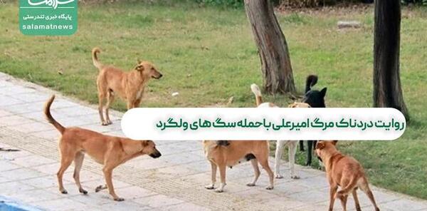 عکس های سگ علی پلنگ