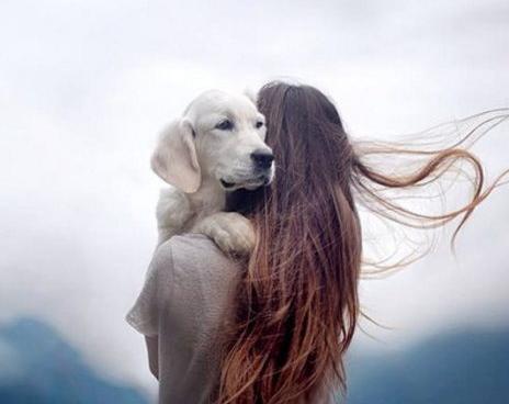 عکس سگ قشنگ برای پروفایل