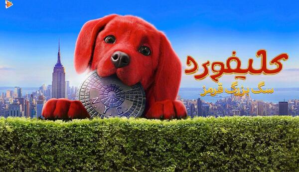 عکس سگ قرمز واقعی
