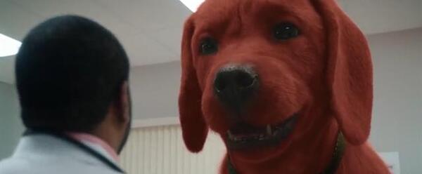 عکس سگ قرمز بزرگ