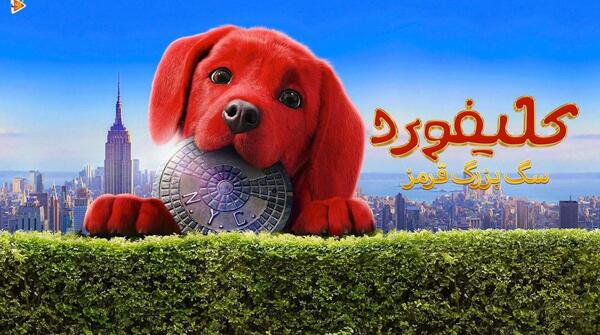 عکس سگ قرمز بزرگ