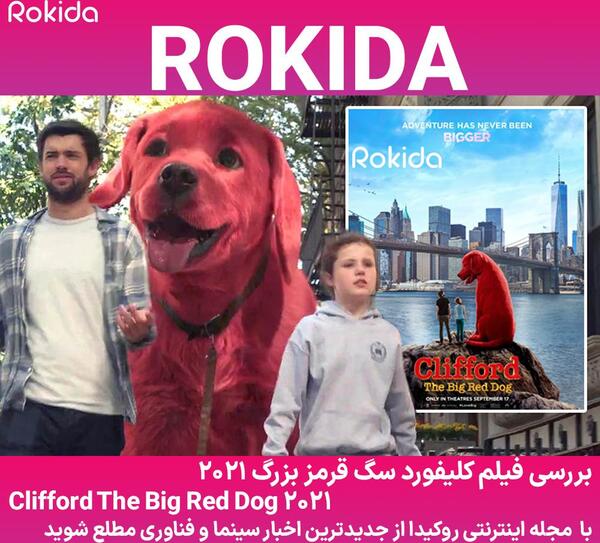 عکس سگ قرمز بزرگ