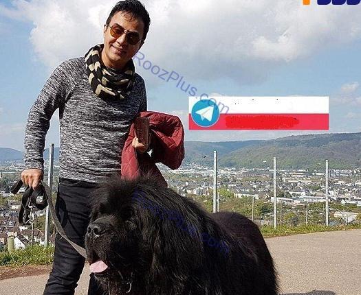 عکس بزرگترین سگ مسی