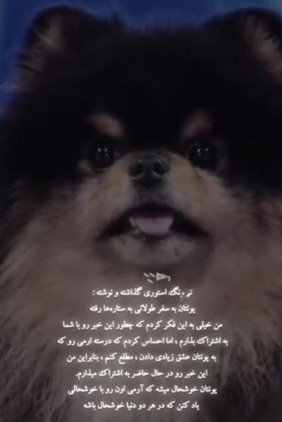 عکس سگ مرده تهیونگ
