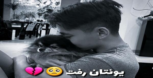 عکس سگ مرده ی تهیونگ