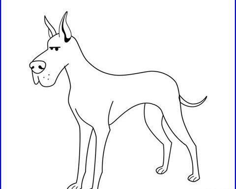 عکس نقاشی سگ مرده